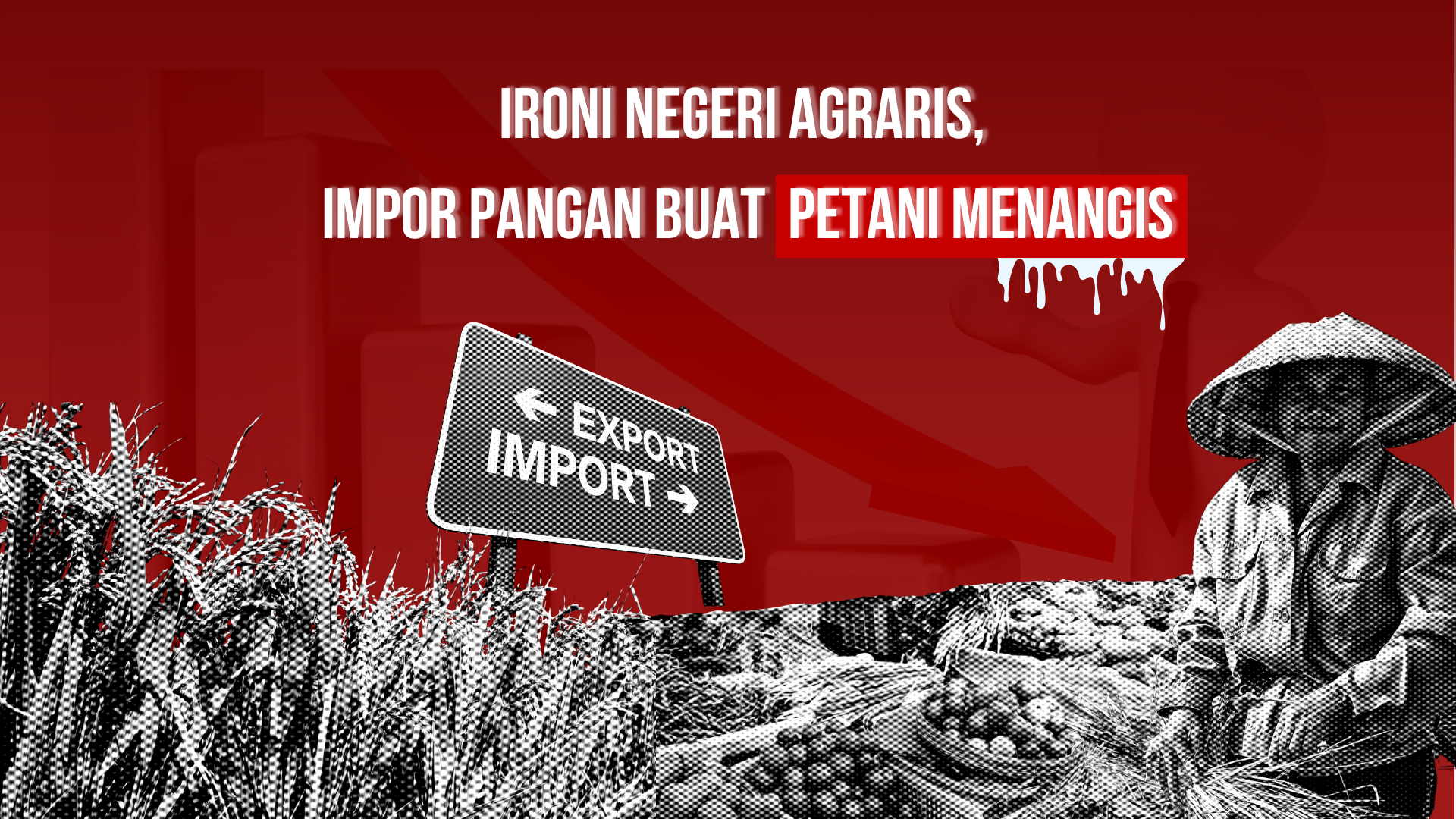 Thumbnail artikel Ironi Negeri Agraris, Impor Pangan Buat Petani Menangis
